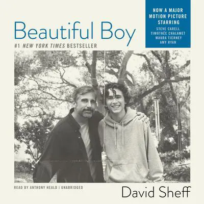 Beautiful Boy: A Father’s Journey through His Son’s Meth Addiction Audibook, by David Sheff