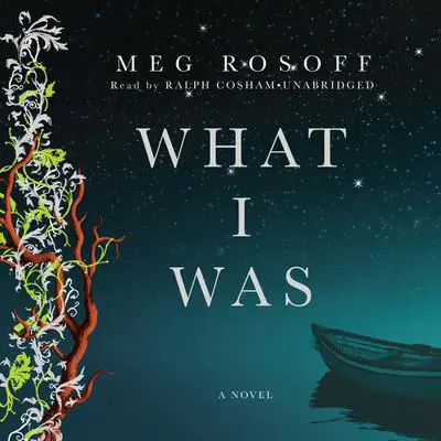 What I Was Audibook, by Meg Rosoff