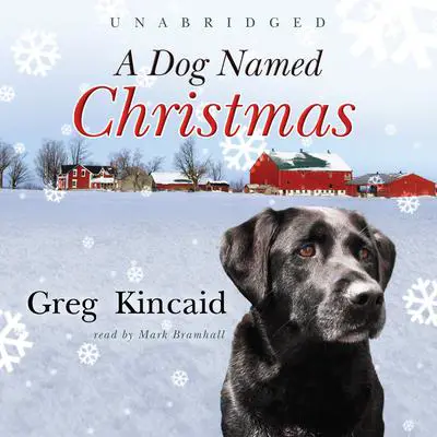 A Dog Named Christmas Audibook, by Greg Kincaid