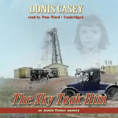 The Sky Took Him Audibook, by Donis Casey