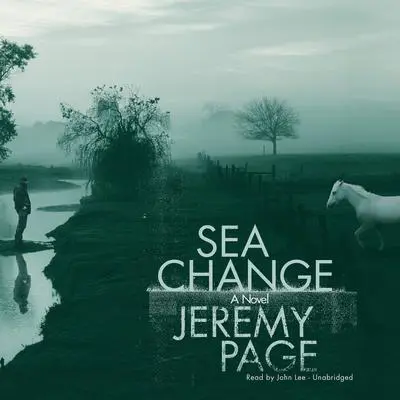 Sea Change: A Novel Audibook, by Jeremy Page