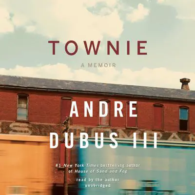 Townie: A Memoir Audibook, by Andre Dubus