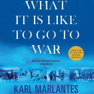 What It Is Like to Go to War Audibook, by Karl Marlantes