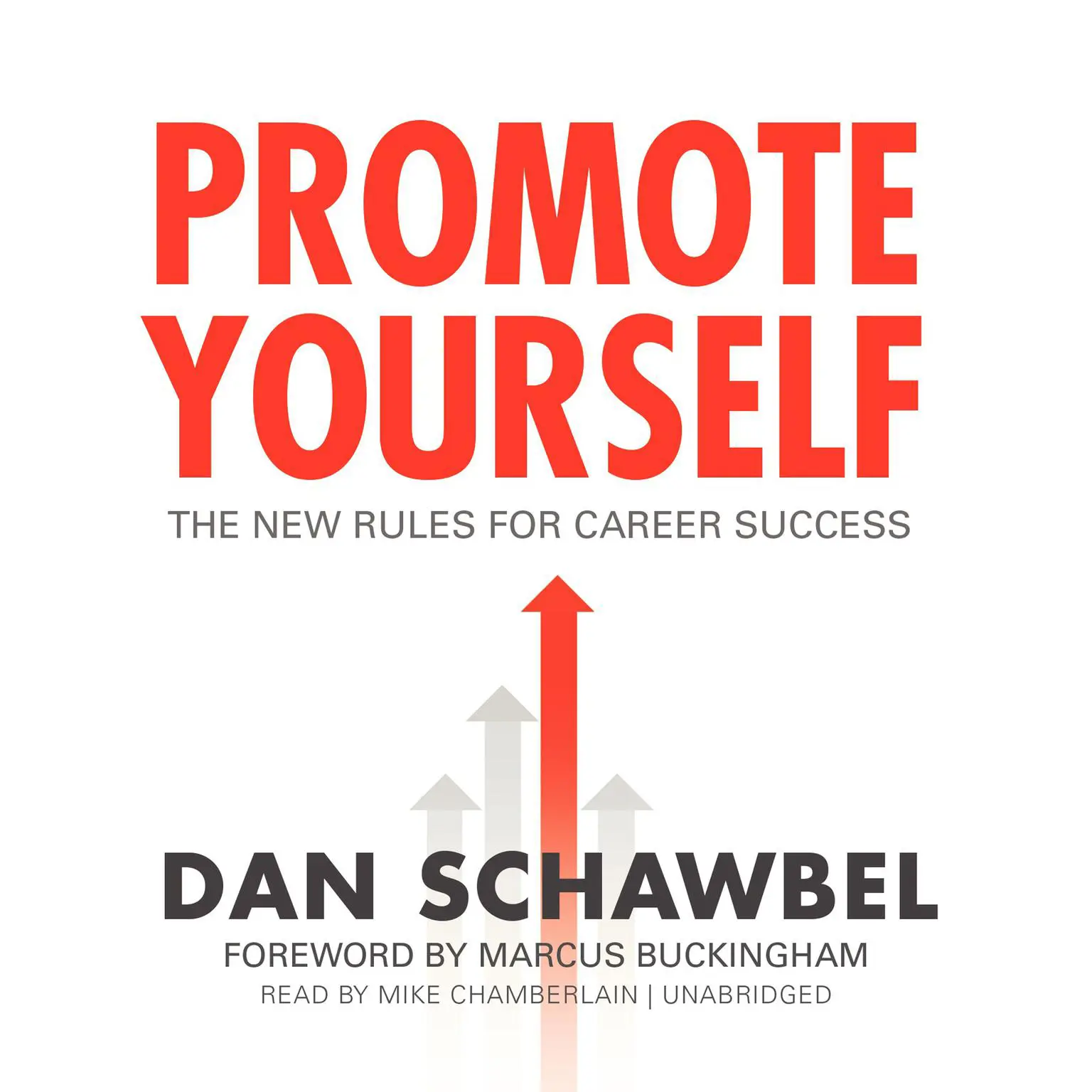 Promote Yourself: The New Rules for Career Success Audiobook, by Dan Schawbel