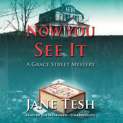 Now You See It: A Grace Street Mystery Audibook, by Jane Tesh