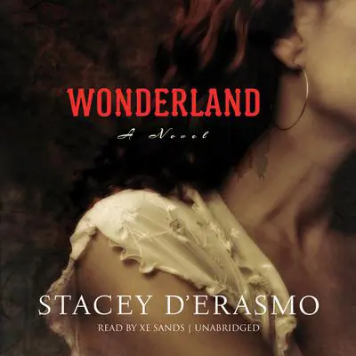 Wonderland Audibook, by Stacey D’Erasmo