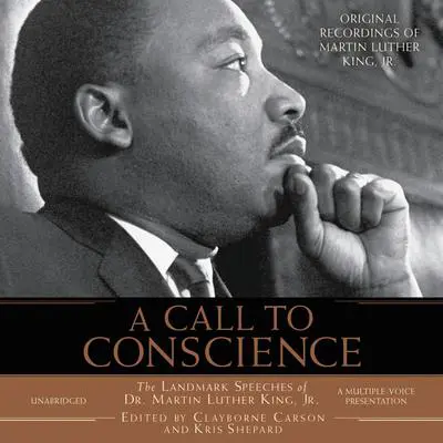 I've Been to the Mountaintop: The Landmark Speeches of Dr. Martin Luther King Jr. Audibook, by Clayborne Carson