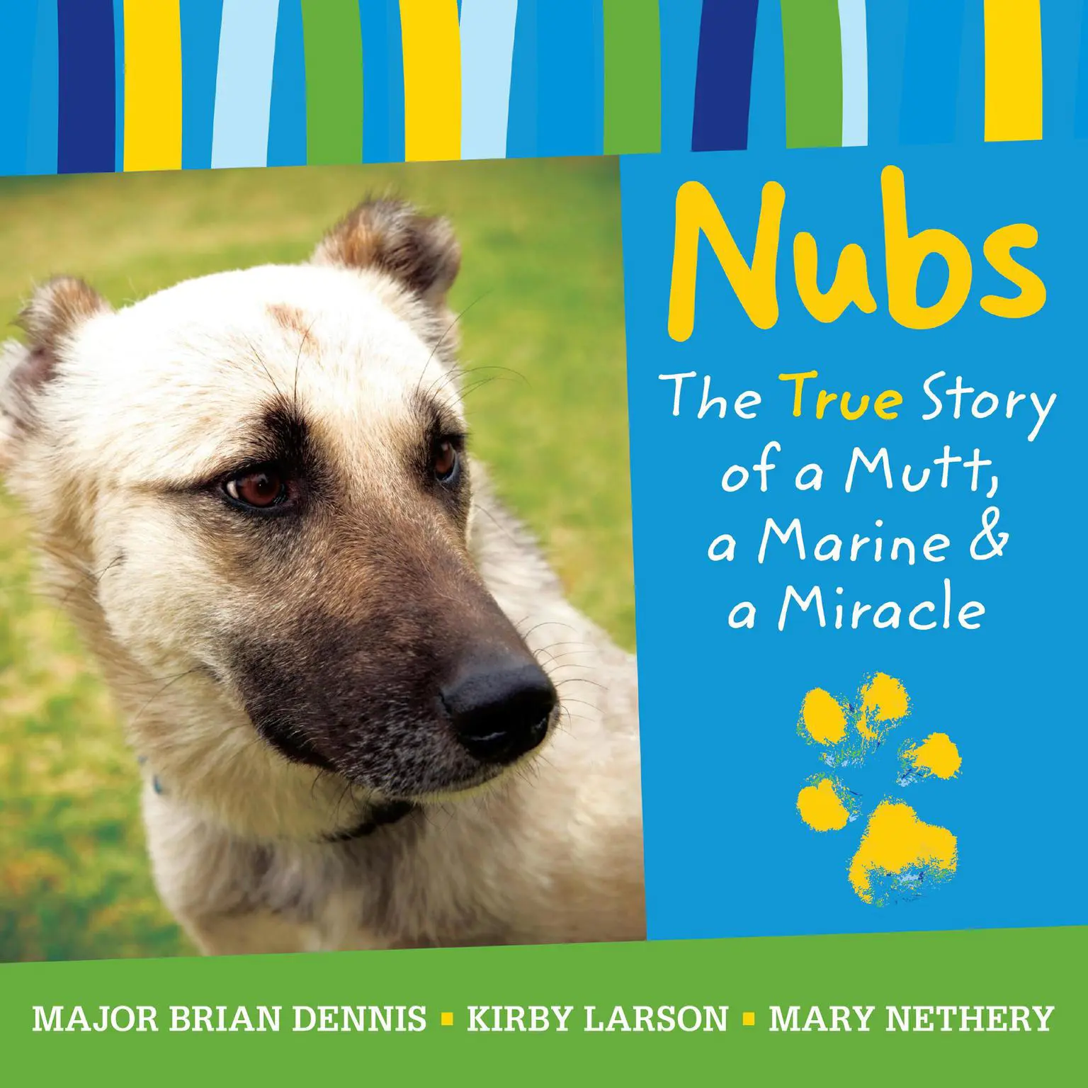 Nubs: The True Story of a Mutt, a Marine & a Miracle Audiobook, by Brian Dennis