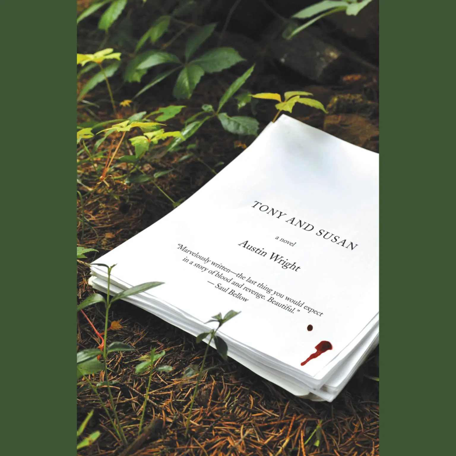 Tony and Susan Audiobook, by Austin Wright