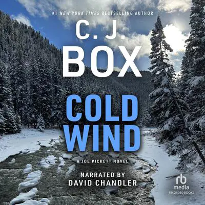 Cold Wind Audibook, by C. J. Box