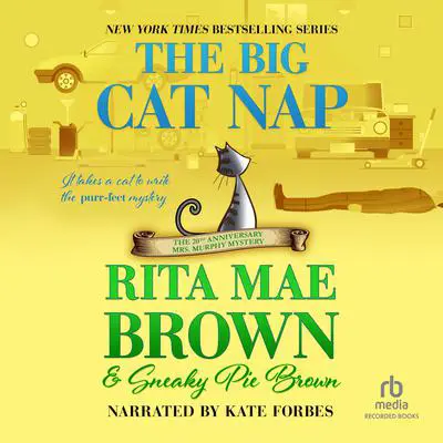 The Big Cat Nap: The 20th Anniversary Mrs. Murphy Mystery Audibook, by Rita Mae Brown