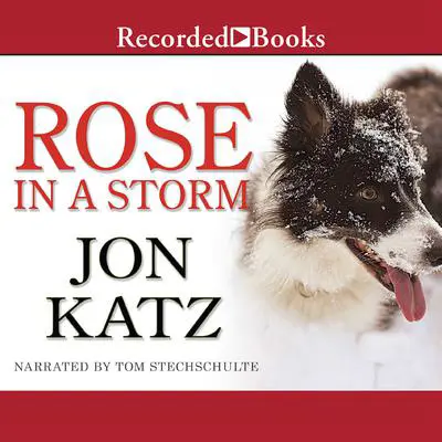 Rose in a Storm: A Novel Audibook, by Jon Katz
