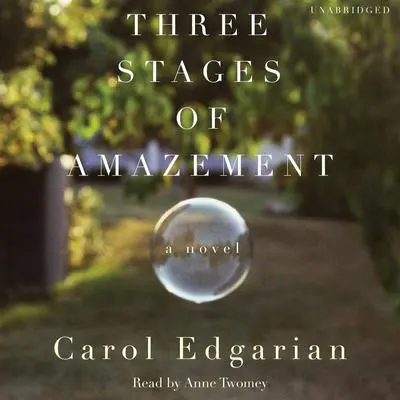 Three Stages of Amazement: A Novel Audibook, by Carol Edgarian