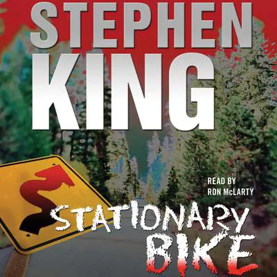 Stationary Bike Audibook, by Stephen King