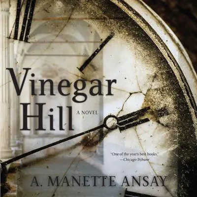 Vinegar Hill Audibook, by A. Manette Ansay