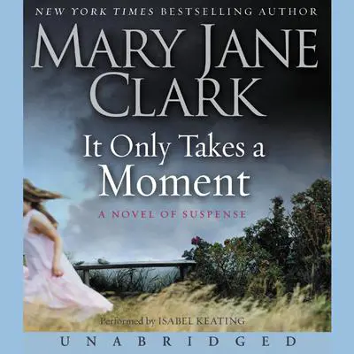 It Only Takes a Moment Audibook, by Mary Jane Clark