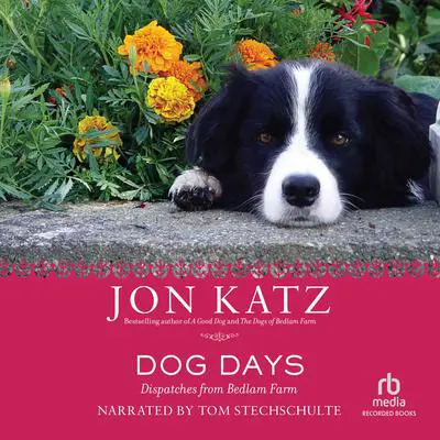 Dog Days: Dispatches from Bedlam Farm Audibook, by Jon Katz