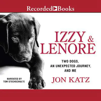 Izzy & Lenore: Two Dogs, an Unexpected Journey, and Me Audibook, by Jon Katz