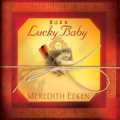 Lucky Baby: A Novel Audibook, by Meredith Efken
