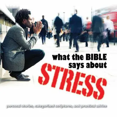 What the Bible Says About Stress Audibook, by Kelly Ryan Dolan