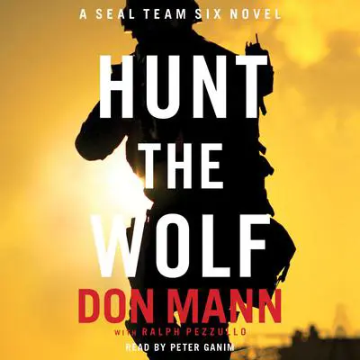 Hunt the Wolf: A SEAL Team Six Novel Audibook, by Don Mann