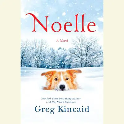 Noelle: A Novel Audibook, by Greg Kincaid