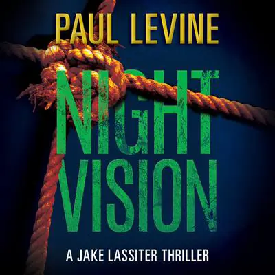 Night Vision Audibook, by Paul Levine