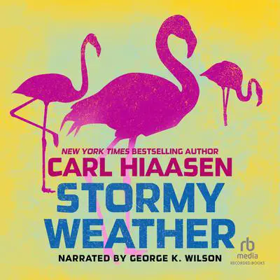 Stormy Weather Audibook, by Carl Hiaasen