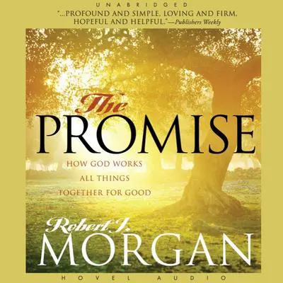 Promise: How God Works All Things Together For Good Audibook, by Robert J. Morgan