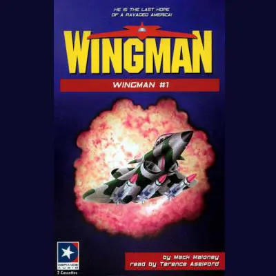Wingman Audibook, by Mack Maloney
