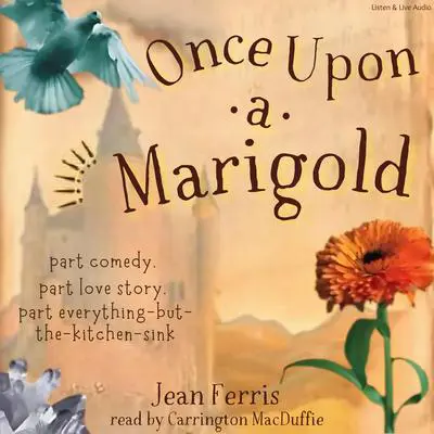 Once Upon a Marigold Audibook, by Jean Ferris
