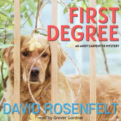 First Degree Audibook, by David Rosenfelt
