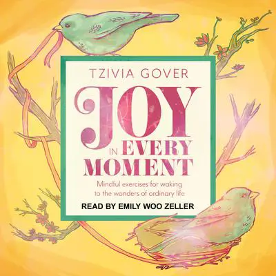 Joy in Every Moment: Mindful Exercises for Waking Up to the Wonders of Ordinary Life Audibook, by Tzivia Gover