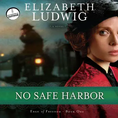 No Safe Harbor Audibook, by Elizabeth Ludwig