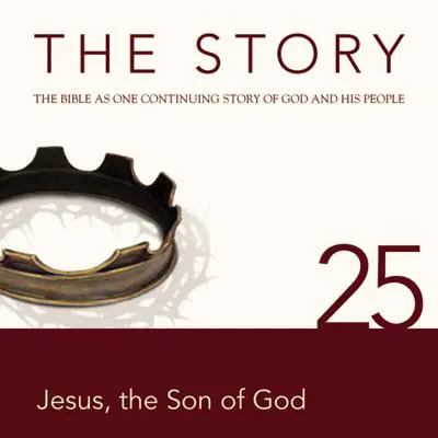 The Story Audio Bible - New International Version, NIV: Chapter 25 - Jesus the Son of God Audibook, by Zondervan