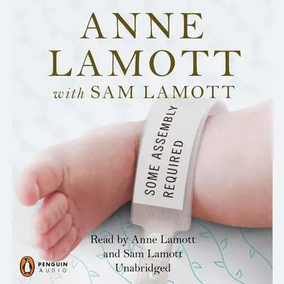Some Assembly Required: A Journal of My Son's First Son Audibook, by Anne Lamott