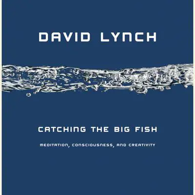 Catching the Big Fish: Meditation, Consciousness, and Creativity Audibook, by David Lynch