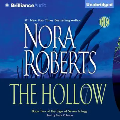 The Hollow Audibook, by Nora Roberts