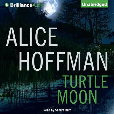 Turtle Moon Audibook, by Alice Hoffman