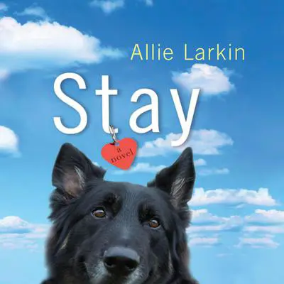Stay: A Novel Audibook, by Allie Larkin