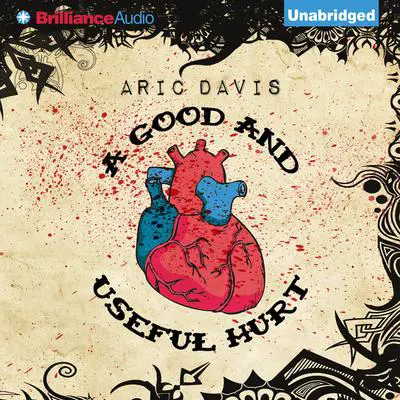 A Good and Useful Hurt Audibook, by Aric Davis