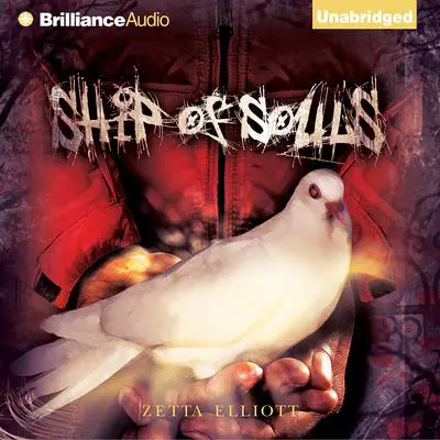 Ship of Souls Audibook, by Zetta Elliott