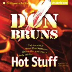 Hot Stuff: A Novel Audibook, by Don Bruns