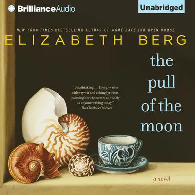 The Pull of the Moon Audibook, by Elizabeth Berg