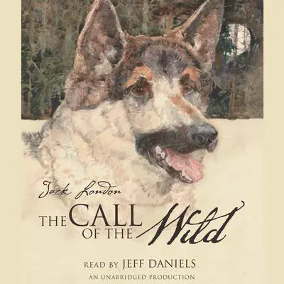The Call of the Wild Audibook, by Jack London