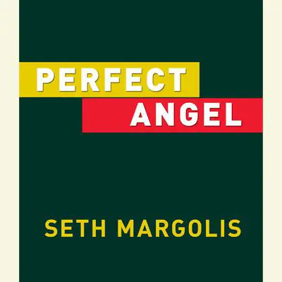 Perfect Angel Audibook, by Seth Margolis