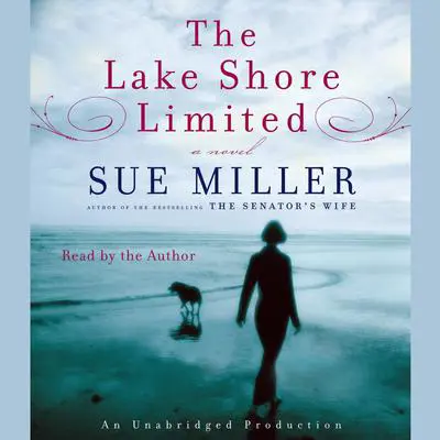The Lake Shore Limited Audibook, by Sue Miller