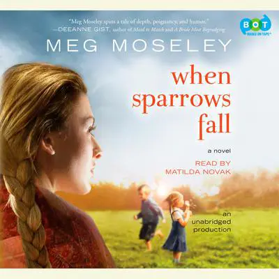 When Sparrows Fall: A Novel Audibook, by Meg Moseley