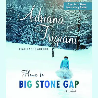 Home to Big Stone Gap: A Novel Audibook, by Adriana Trigiani