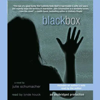 Black Box Audibook, by Julie Schumacher